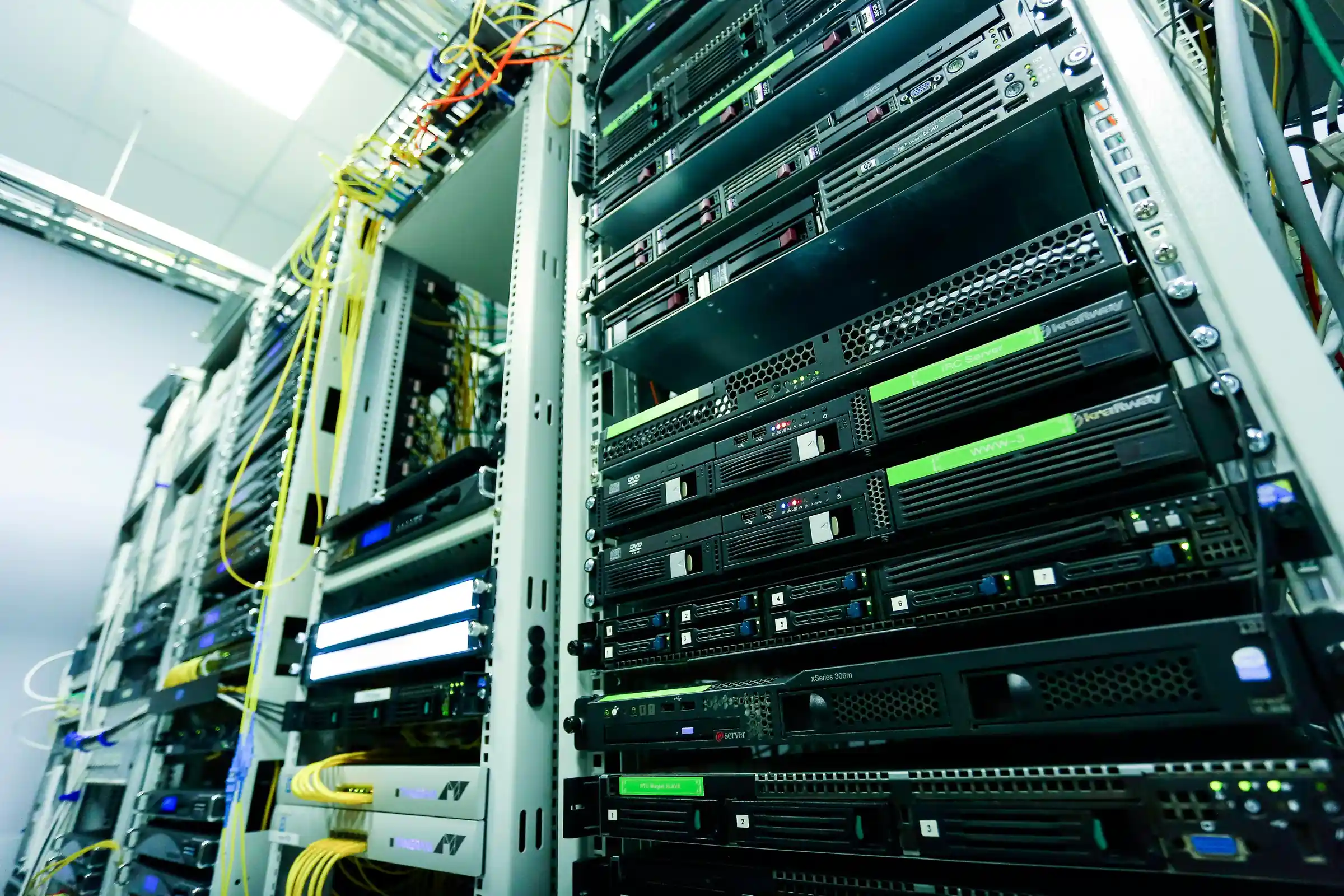 Data management and IT infrastructure for Milton businesses